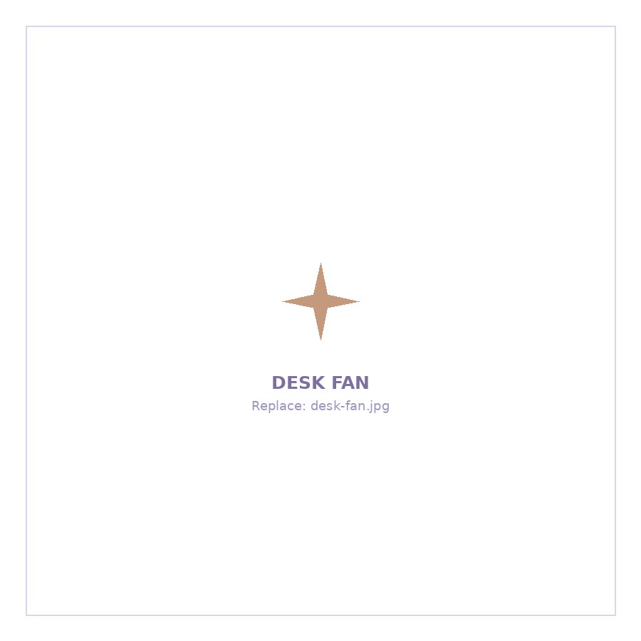 Desk Fan
